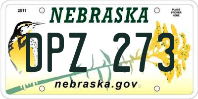 NE license plate DPZ273