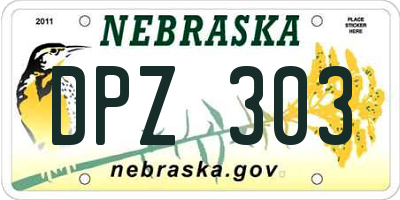 NE license plate DPZ303