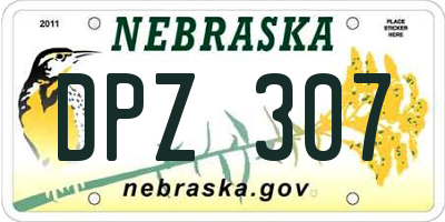 NE license plate DPZ307