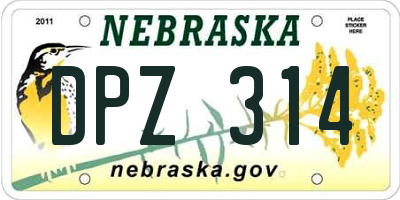 NE license plate DPZ314
