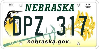 NE license plate DPZ317