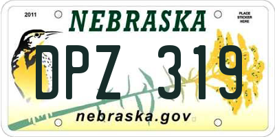 NE license plate DPZ319