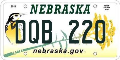 NE license plate DQB220