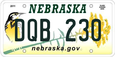 NE license plate DQB230