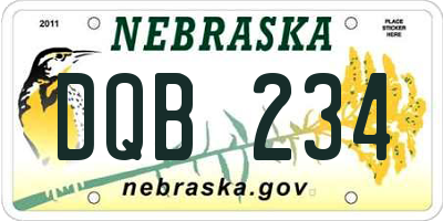 NE license plate DQB234