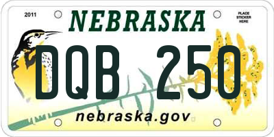 NE license plate DQB250