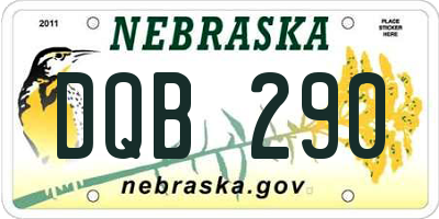 NE license plate DQB290