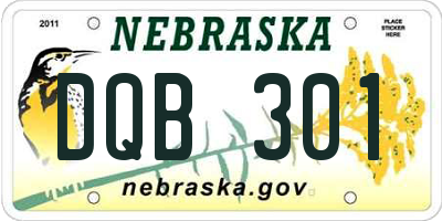 NE license plate DQB301