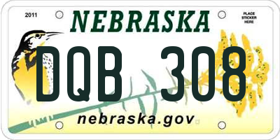 NE license plate DQB308