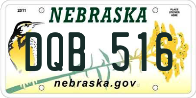 NE license plate DQB516