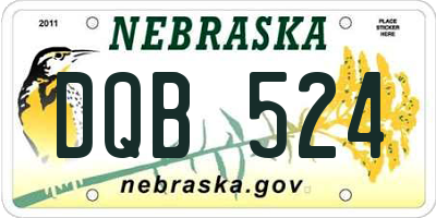 NE license plate DQB524