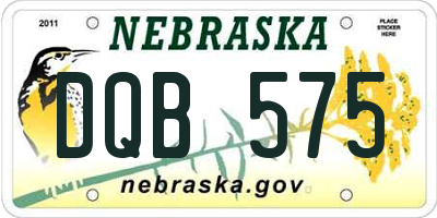 NE license plate DQB575