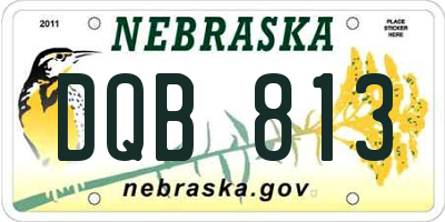 NE license plate DQB813