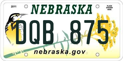 NE license plate DQB875