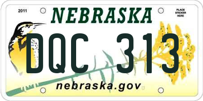 NE license plate DQC313