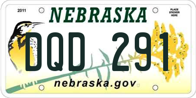 NE license plate DQD291