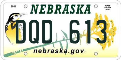 NE license plate DQD613
