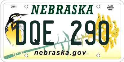 NE license plate DQE290