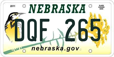 NE license plate DQF265
