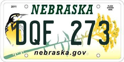 NE license plate DQF273