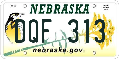 NE license plate DQF313