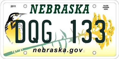 NE license plate DQG133