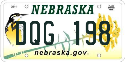 NE license plate DQG198