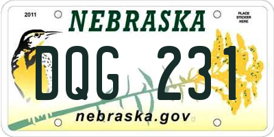NE license plate DQG231