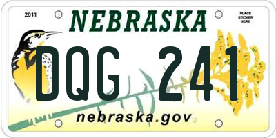 NE license plate DQG241