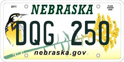 NE license plate DQG250