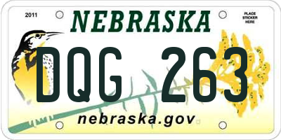 NE license plate DQG263