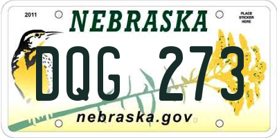 NE license plate DQG273