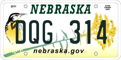 NE license plate DQG314