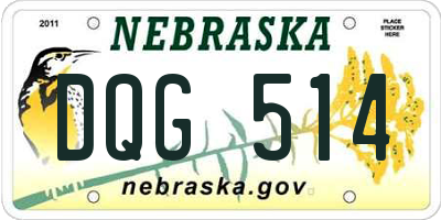 NE license plate DQG514