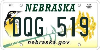 NE license plate DQG519