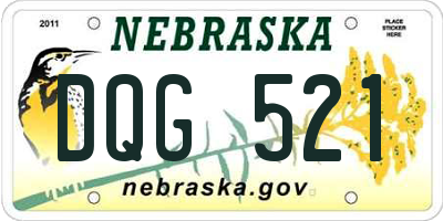 NE license plate DQG521