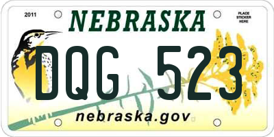 NE license plate DQG523