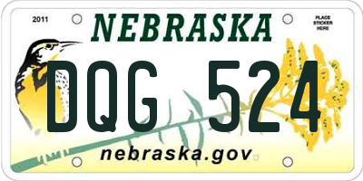 NE license plate DQG524