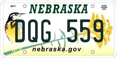 NE license plate DQG559