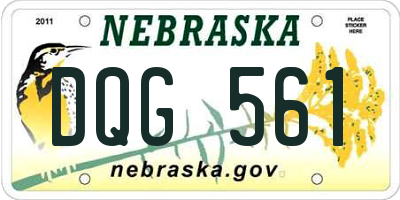 NE license plate DQG561