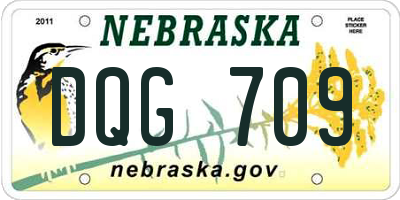 NE license plate DQG709