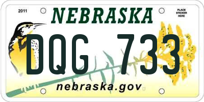 NE license plate DQG733