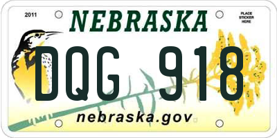NE license plate DQG918