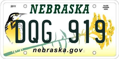 NE license plate DQG919