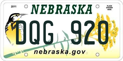 NE license plate DQG920