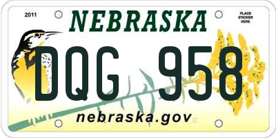 NE license plate DQG958
