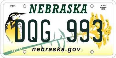NE license plate DQG993