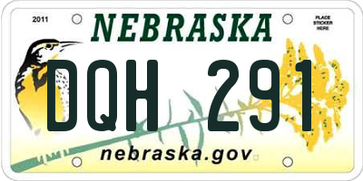 NE license plate DQH291