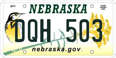 NE license plate DQH503