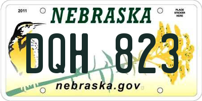NE license plate DQH823